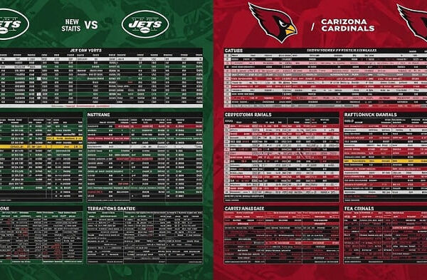 new york jets vs arizona cardinals match player stats