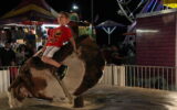 Mechanical Bull