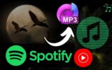 Spotify to MP3